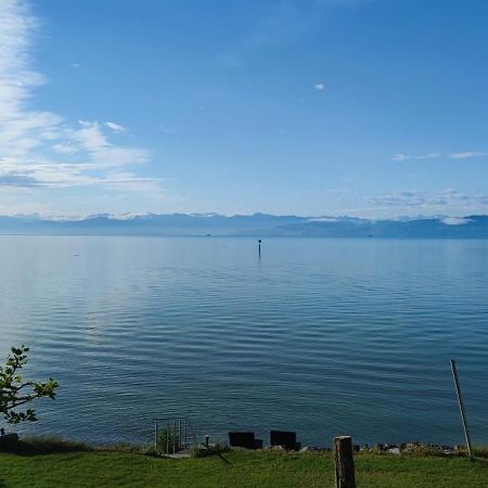 Birkhofer See Geniessen - Haus Seehang Імменштад-ам-Бодензе Екстер'єр фото